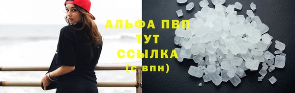 трава Балахна