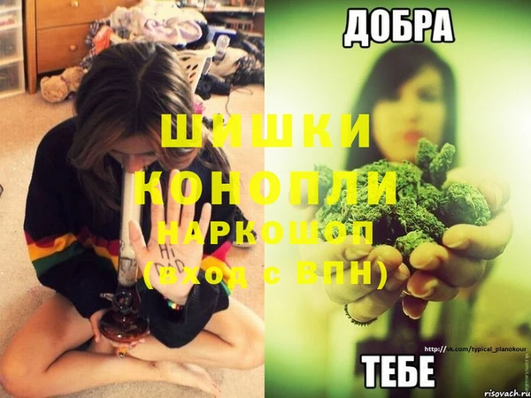 трава Балахна
