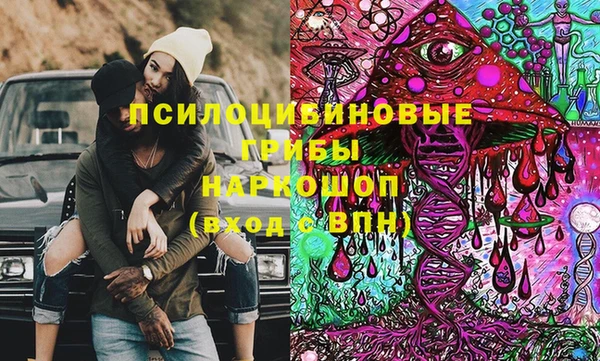 трава Балахна